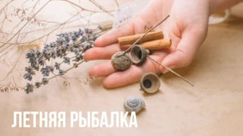 Летняя рыбалка