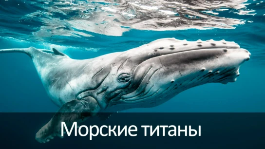 Титаны морских глубин
