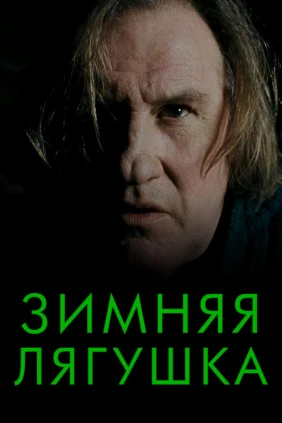 Зимняя лягушка