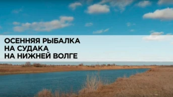 Осенняя рыбалка на судака на Нижней Волге