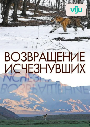 Возвращение тигра