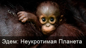 Эдем: Неукротимая Планета