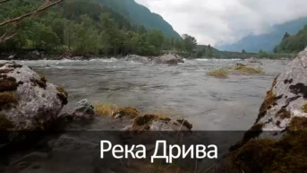 Река Дрива