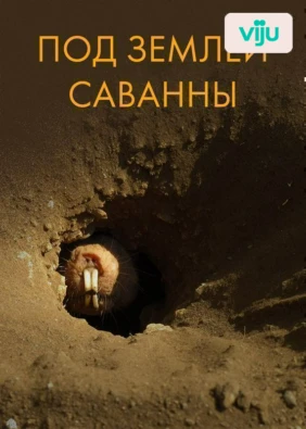 Под землей Саванны