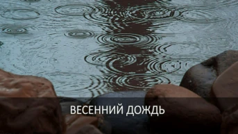 Весенний дождь