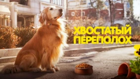 Трейлер 1