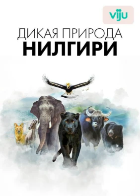 Дикая природа Нилгири