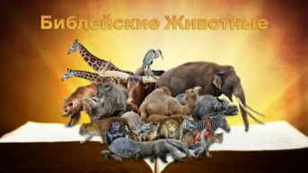 Библейские животные