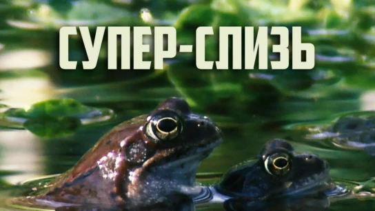Супер-слизь