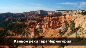 Каньон реки Тара Черногория