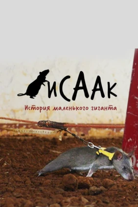 Исаак. История маленького гиганта