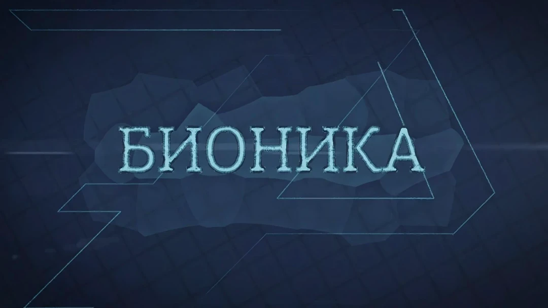 Передача Бионика