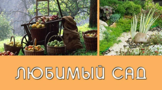 Любимый сад