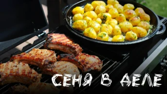 Сеня в деле