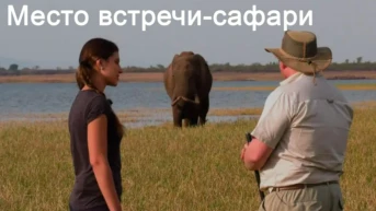 Место встречи-сафари
