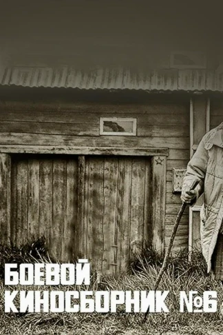 Боевой киносборник № 6
