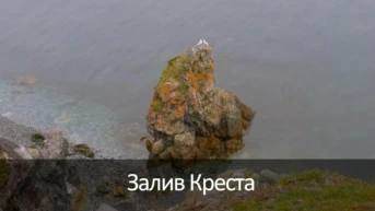 Залив Креста