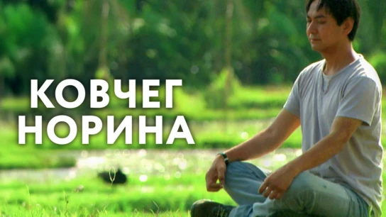 Ковчег Норина