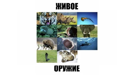 Живое оружие