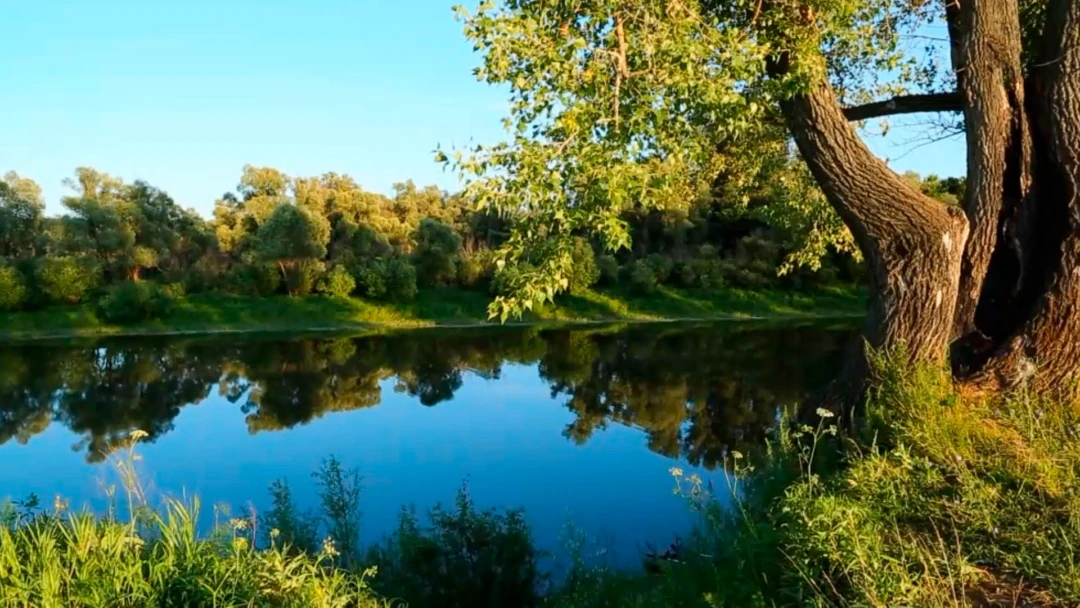 Передача Река Кармасан