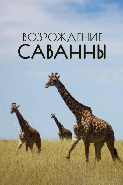 Возрождение Саванны