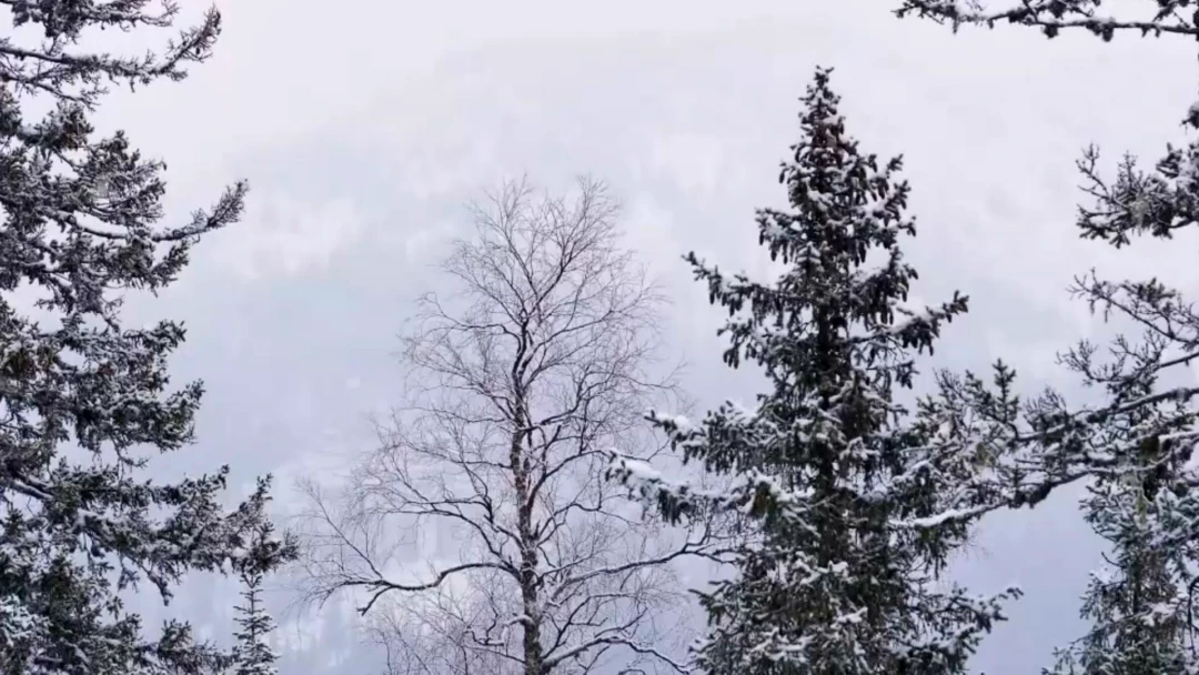 Передача Гора Сундуки