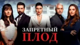 38-я серия