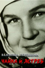 «Чайка» и «Ястреб»