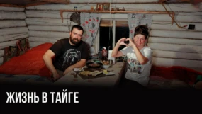 Дорога до избы