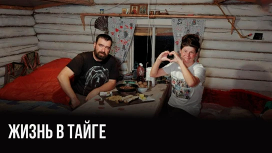 Тайга. Константин Удинцев
