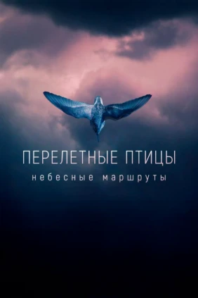 Перелётные птицы. Небесные маршруты