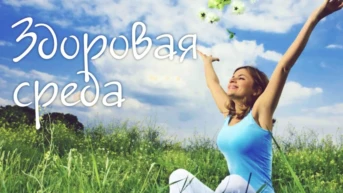 Здоровая среда