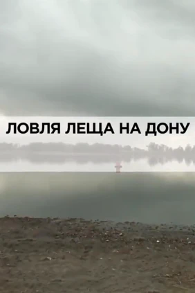 Ловля леща на Дону