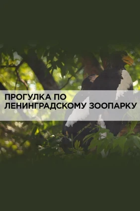 Прогулка по Ленинградскому зоопарку