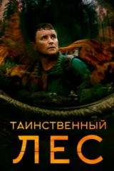 Таинственный лес