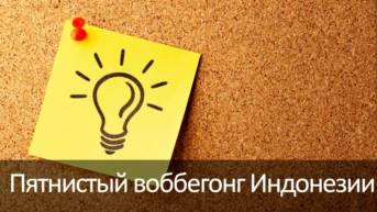 Пятнистый воббегонг Индонезии