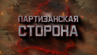 Партизанская сторона