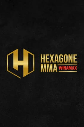 Смешанные единоборства. HEXAGONE MMA 36. Мадалин Пирвулеску против Норберта Новеньи. Моасир Роча против Матье Дюкло. Трансляция из Венгрии