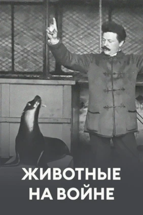 Животные на войне