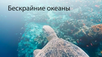 Бескрайние океаны