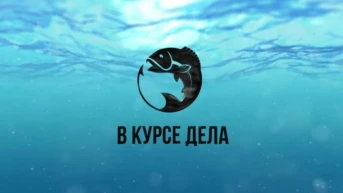 В курсе дела