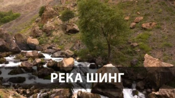 Река Шинг