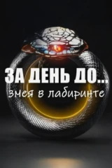 За день до... Змея в лабиринте