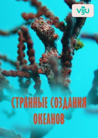 Странные создания океанов