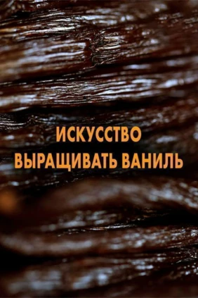 Искусство выращивать ваниль