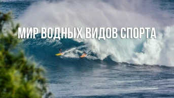 Мир водных видов спорта