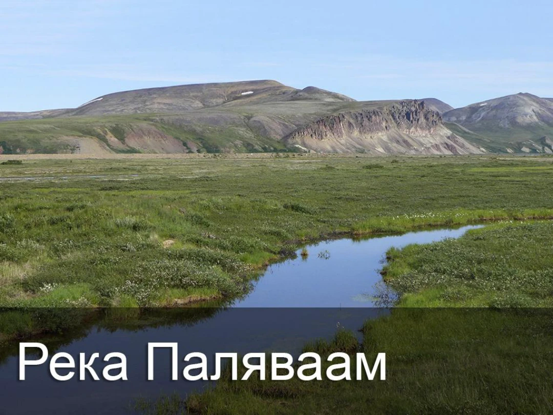 Передача Река Паляваам