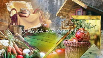 Лучки-пучки