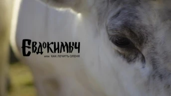 Евдокимыч, или как лечить оленя