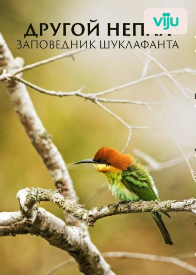 Национальный парк Суклафанта. Дикий мир Непала